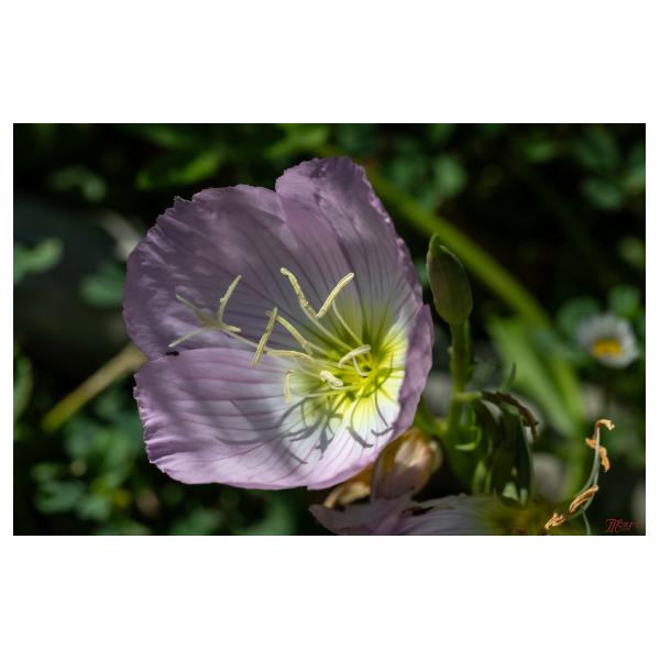 PHOTO84, CLUB, 84 , LUBERON